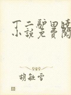 丁二驴田晓兰的小说免费阅读笔趣阁