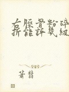 右胫骨粉碎性骨折能评几级伤残