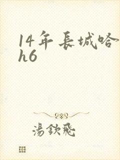 14年长城哈弗h6