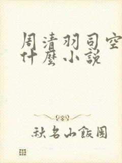 周清羽司空古是什么小说