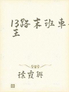 13路末班车女主