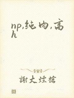 np,纯肉,高h