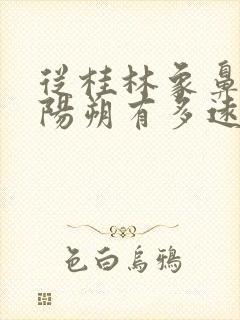 从桂林象鼻山到阳朔有多远