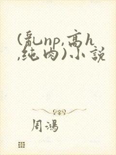 (乱np,高h,纯肉)小说 (乱np,高h,纯肉)小说