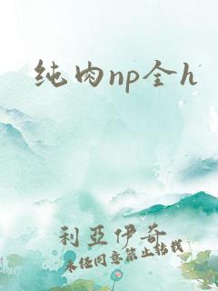 纯肉np全h
