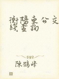 衡阳东公交车路线查询 衡阳东公交车路线查询