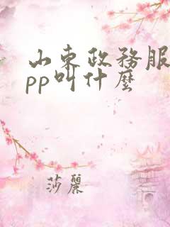山东政务服务app叫什么