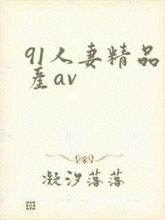 91人妻精品国产av