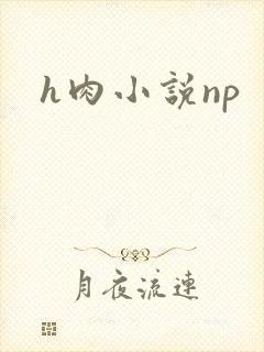 h肉小说np h肉小说np