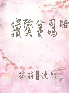 保险公司赔精神损失费吗