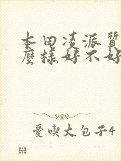 本田凌派质量怎么样好不好
