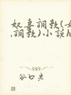奴妻调教(女m,调教)小说hhh