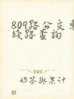 809路公交车线路查询