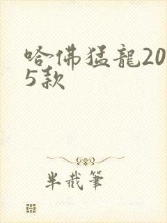 哈佛猛龙2025款