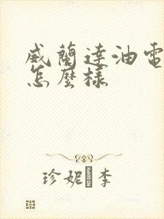 威兰达油电混动怎么样