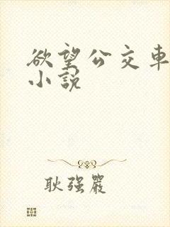 欲望公交车系列小说
