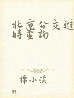 北京公交进站实时查询