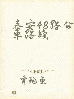 泰安48路公交车路线