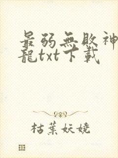 最弱无败神装机龙txt下载