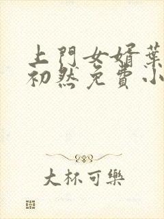 上门女婿叶辰萧初然免费小说