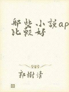 哪些小说app比较好