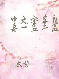 中文字幕熟女人妻一区二区