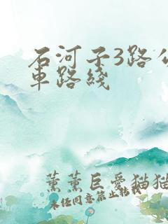 石河子3路公交车路线