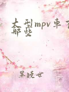 大型mpv车有哪些