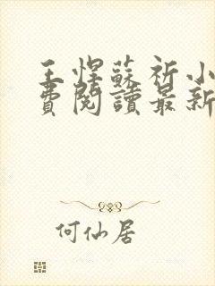 王悍苏祈小说免费阅读最新章节无弹窗