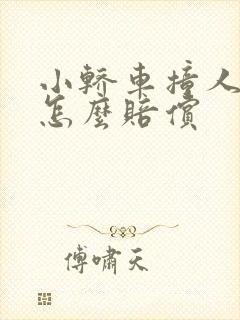 小轿车撞人全责怎么赔偿