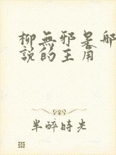 柳无邪是哪本小说的主角