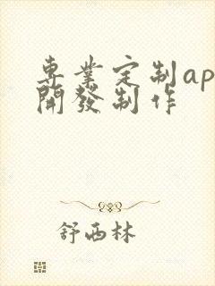 专业定制app开发制作