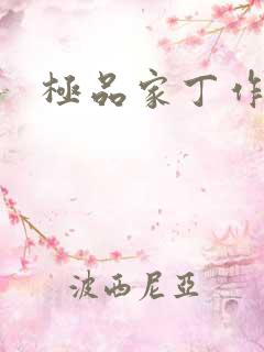 极品家丁作者