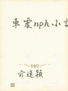 车震nph小说