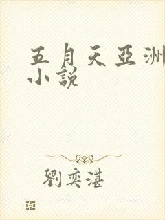 五月天亚洲综合小说