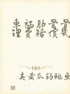 车祸肋骨骨折护理费赔偿几个月