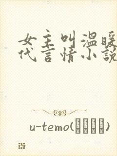 女主叫温暖的现代言情小说