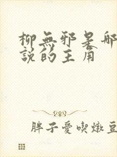 柳无邪是哪本小说的主角