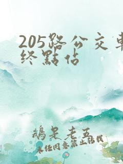 205路公交车终点站