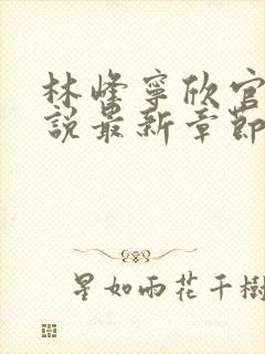 林峰宁欣官场小说最新章节更