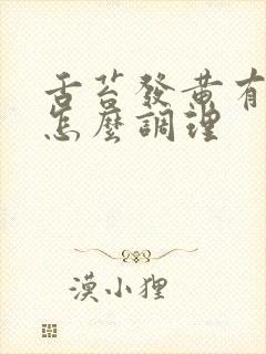 舌苔发黄有裂纹怎么调理