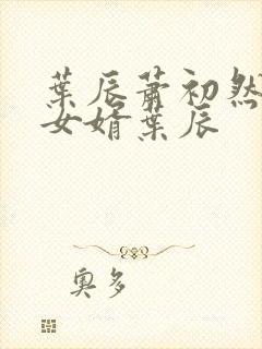 叶辰萧初然上门女婿叶辰