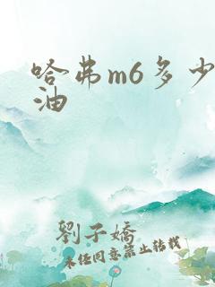 哈弗m6多少升油
