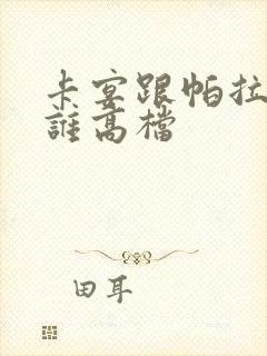 卡宴跟帕拉梅拉谁高档