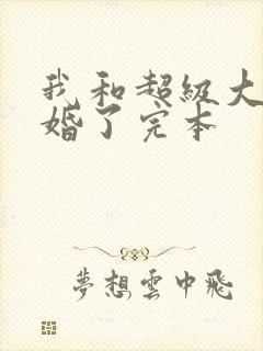 我和超级大佬隐婚了完本