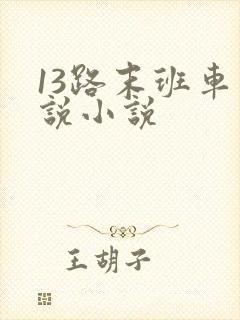 13路末班车小说小说