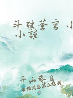 斗破苍穹 小说 小说