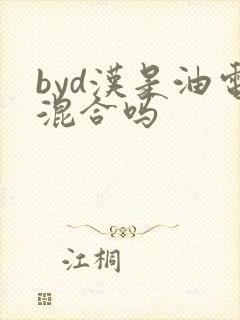 byd汉是油电混合吗
