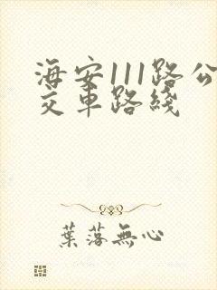 海安111路公交车路线