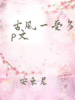 古风一受多攻np文